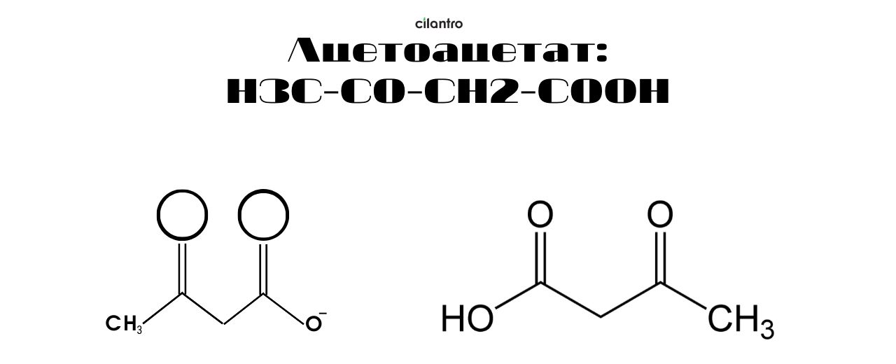 Ацетоацетат формула. Ацетоуксусная кислота формула. Проба Герхарда на ацетоуксусную кислоту. Ацетоацетат структурная формула.